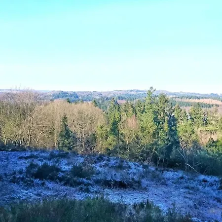 8 Person In Gjern-by Traum Gjern