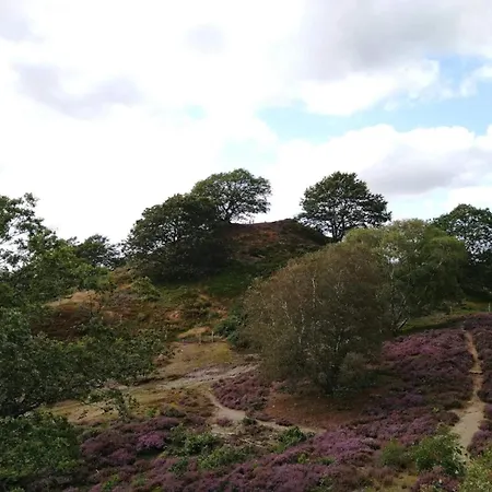 8 Person In Gjern-by Traum