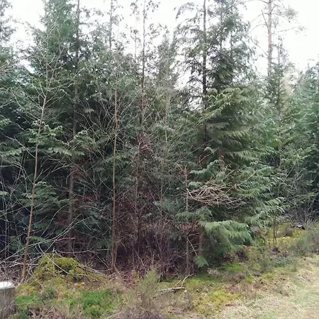 8 Person In Gjern-by Traum בית נופש