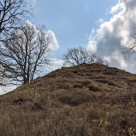 בית נופש 8 Person In Gjern-by Traum Gjern