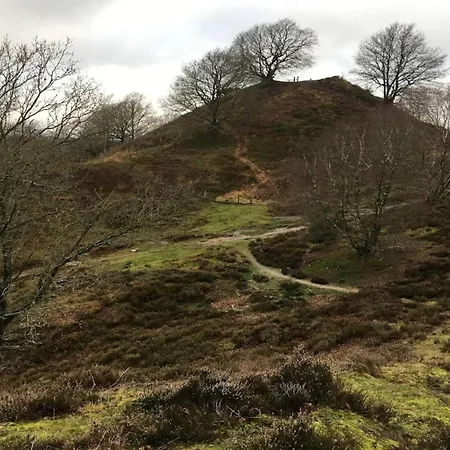 8 Person In Gjern-by Traum בית נופש *