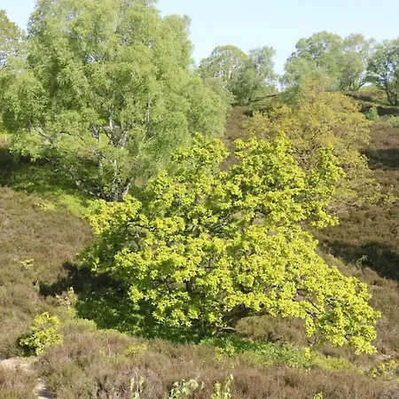 בית נופש 8 Person In Gjern-by Traum *