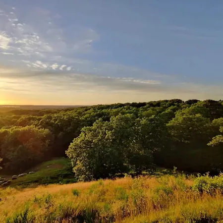 8 Person In Gjern-by Traum בית נופש