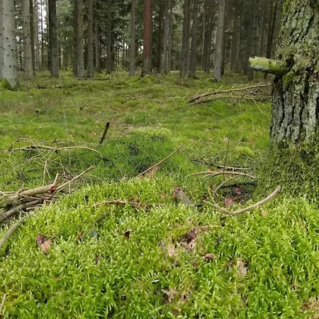 8 Person In Gjern-by Traum בית נופש Gjern